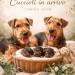 Airedale – Ci siamo! Arriveremo il 22 maggio.